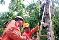 Tầm Quan Trọng Của Mũ Bảo Hộ Điện Lực