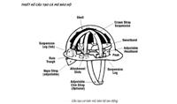 Hướng dẫn sử dụng mũ bảo hộ lao động? Mũ bảo hộ lao động là gì?