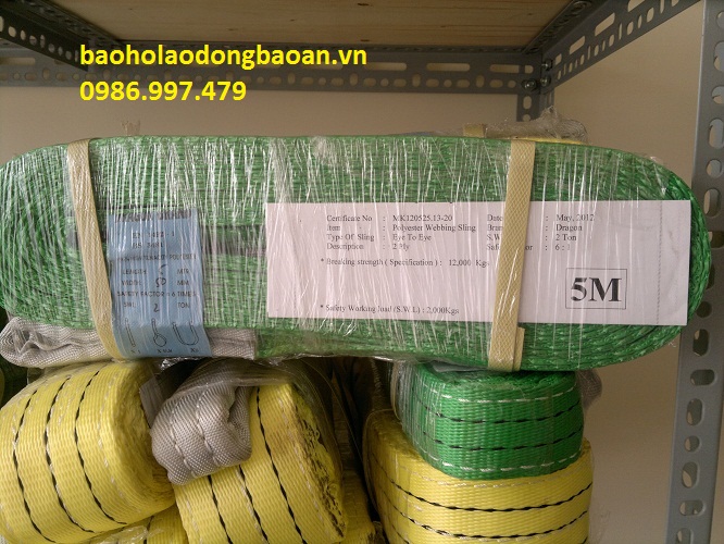 Dây bẹ cẩu hàng