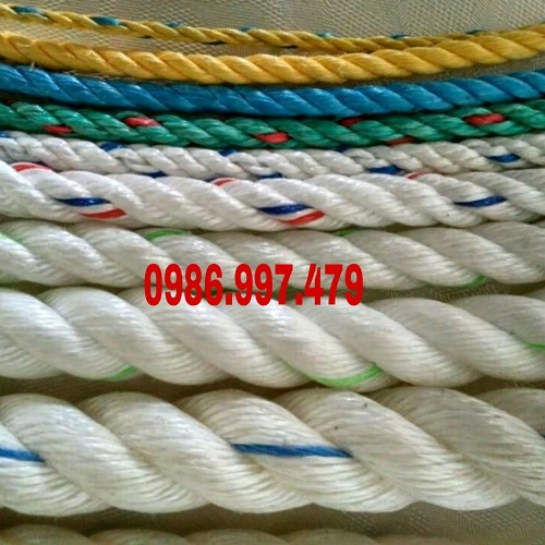 Dây bẹ cẩu hàng